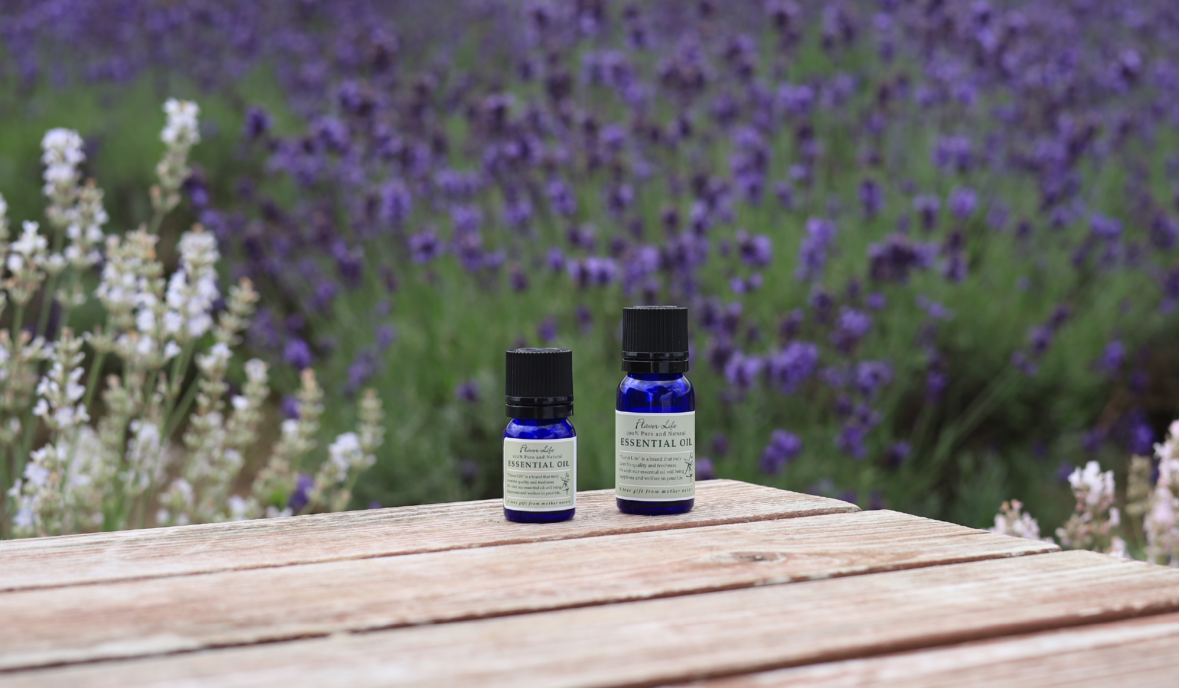 flavorlifeメインビュー02